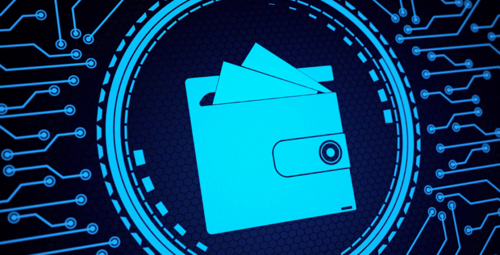 Overview And Types Crypto Wallets