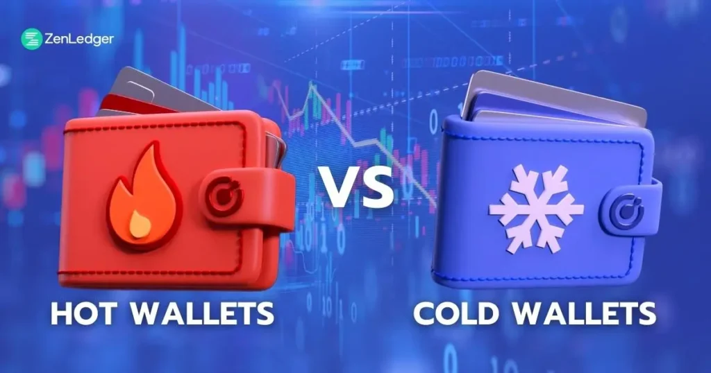 hot wallet vs cold wallet comparison