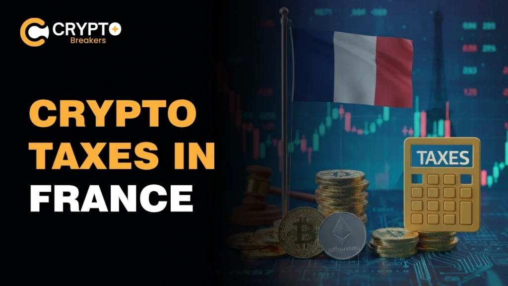 Crypto Taxes in France: The Ultimate Guide for Investors & Traders crypto taxes in France